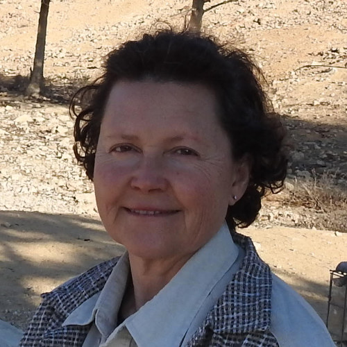 Anastasia Kostiukovsky is a member of the CPHCN LOGIC Journal committee